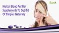 Herbal Blood Purifier Supplements To Get Rid Of Pimples Naturally