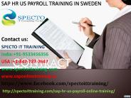 sap hr us payroll online training | specto