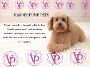 Pet Accessories Online from Vanderpump Pets