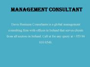 Management Consultant