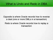 What is Undo and Redo in DBA?