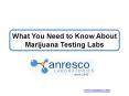 What You Need to Know About Marijuana Testing Labs PowerPoint PPT Presentation