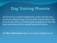 Dog Training Phoenix