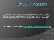 Top Seo Consultant