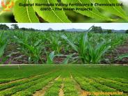 Agriculture Uses of Neem