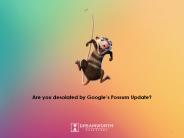 Are you desolated by Google’s Possum Update?