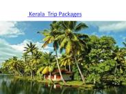 Kerala Trip Packages
