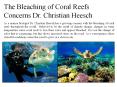 The Bleaching of Coral Reefs Concerns Dr. Christian Heesch PowerPoint PPT Presentation