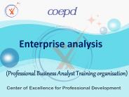 Enterprise analysis | COEPD