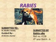 rabies