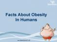 Facts About Obesity In Humans PowerPoint PPT Presentation