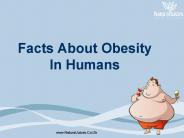 Facts About Obesity In Humans