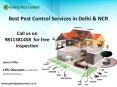 Get 10% OFF on pest control and termite treatment in Noida, Faridabad, Ghaziabad, Gurgaon,Indirapuram and Dwarka-Contact Godrej Pest Control 9811381458