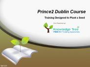 Fundamentals themes and processes of Prince2