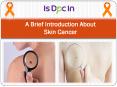 A Brief Introduction About Skin Cancer PowerPoint PPT Presentation