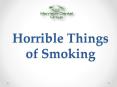 Horrible Things of Smoking PowerPoint PPT Presentation