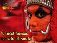 10 Famous Festivals of Kerala