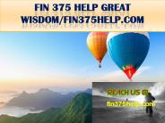FIN 375 HELP GREAT WISDOM/fin375help.com