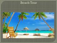 India Tour Packages