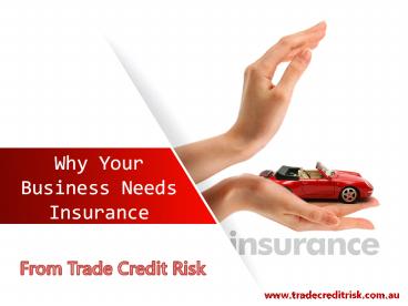 Why Your Business Needs Insurance