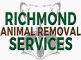 Dead Animal Removal Nothing to Play With PowerPoint PPT Presentation