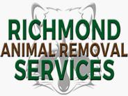 Dead Animal Removal Nothing to Play With