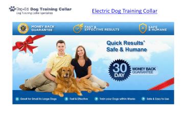 Electric dog training collar