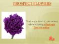 Nine ways to save your money when ordering wholesale flowers online PowerPoint PPT Presentation
