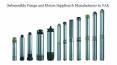 Submersible Pumps and Motors Equipments in UAE PowerPoint PPT Presentation