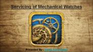 Servicing of Mechanical Watches