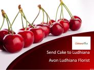 Send Cake to Ludhiana