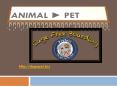 Canine Training Oceanside PowerPoint PPT Presentation