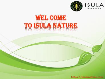 Buy Maca Powder Online