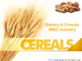Bakery & Cereals BRIC Industry PowerPoint PPT Presentation