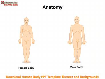 Download Human Body PPT Template Themes and Backgrounds