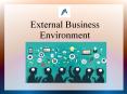 External Business Environment PowerPoint PPT Presentation
