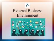 External Business Environment