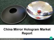 China Mirror Hologram Market Report