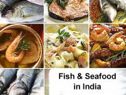 Fish & Seafood in India