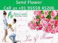 Send Flower Online 9555945206