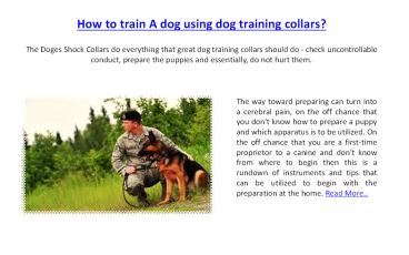 How to train a dog using dog training collars?