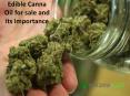 Edible Canna Oil for sale and its importance