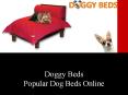 Doggy Beds- Importance of Dog Beds PowerPoint PPT Presentation