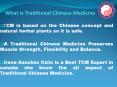what is Traditional Chinese Medicine PowerPoint PPT Presentation