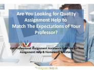 Top Quality Assignment Provider