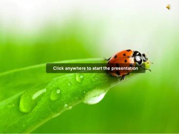 Animal Trapping in Marietta GA