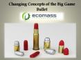 Changing Concepts of the Big Game Bullet PowerPoint PPT Presentation