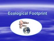 Ecological Footprint