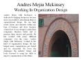 Andres Mejia McKinsey - Working In Organization Design PowerPoint PPT Presentation