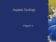 Aquatic%20Ecology